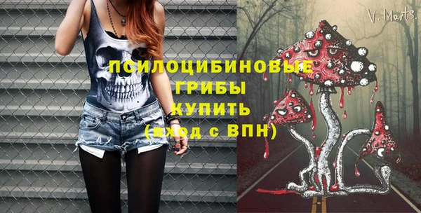 молекула духа Алзамай
