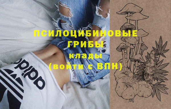 таблы Алексин