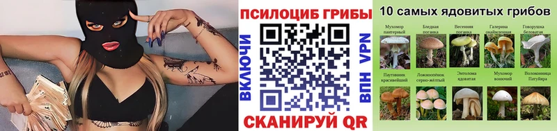 Псилоцибиновые грибы MAGIC MUSHROOMS  купить наркоту  Анжеро-Судженск 